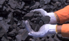 images/stories/GoldenEnergy/coal_hand_pic.png