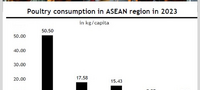 images/stories/Misc2025/Indon_chickenconsume1.25.png