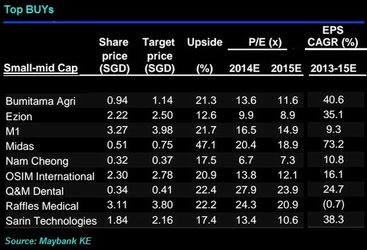 maybank2014buys.1.14