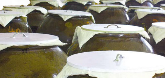 fermentation_pots