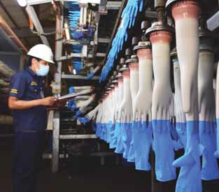 TopGlove factory