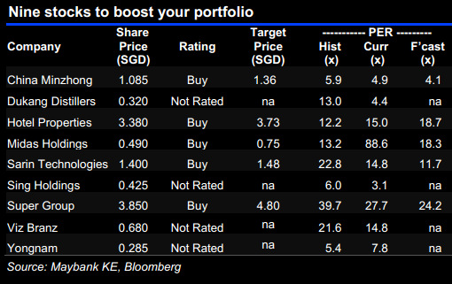 maybank.9.privatisation