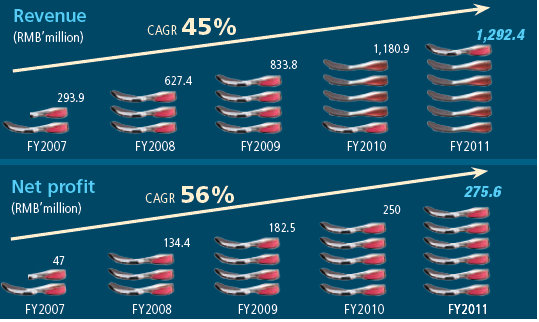 qingmei_fy11