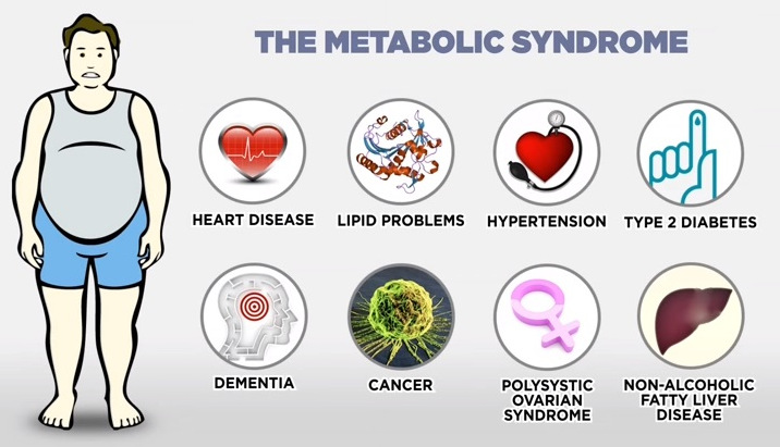 sugar metabolic